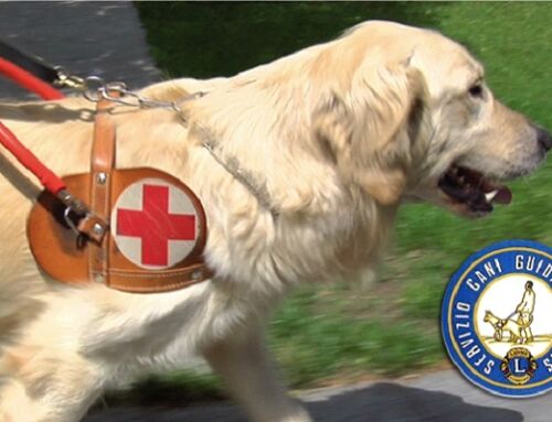 Un cane guida consegnato dal Lions Club Villafranca